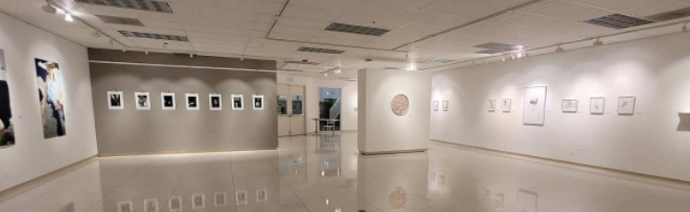 art gallery with works displayed on walls and track lighting overhead