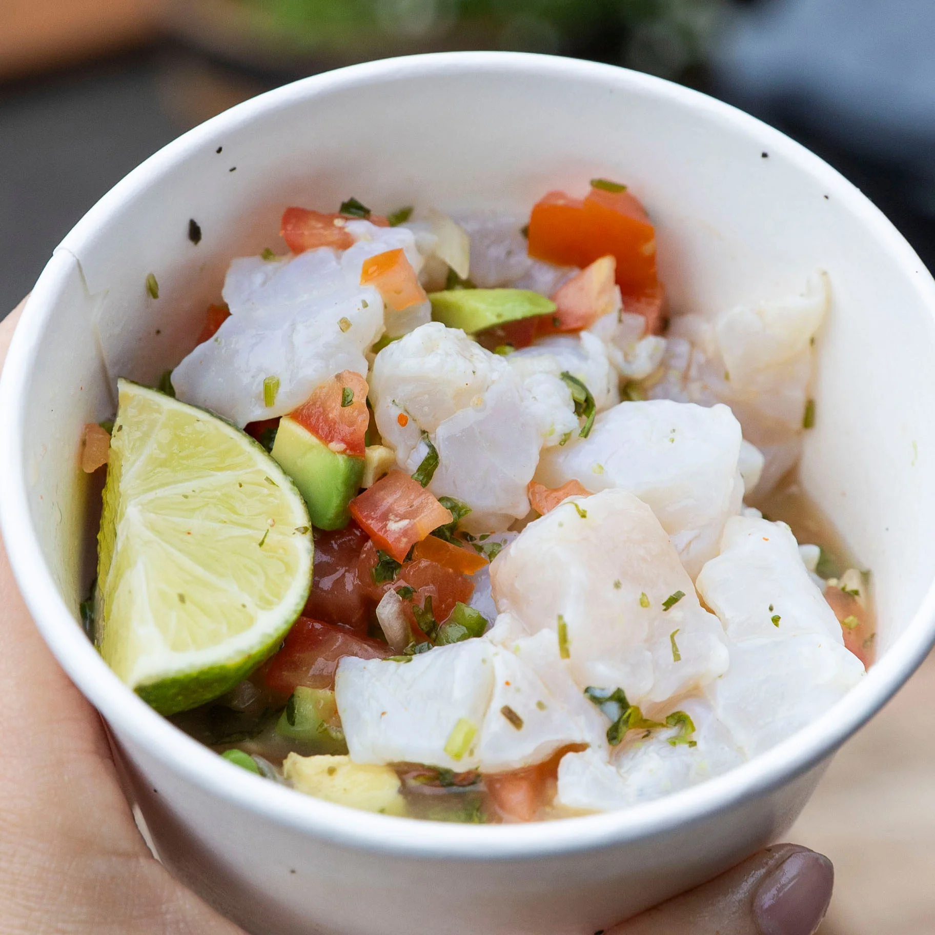 Rockfish Ceviche at Sal de Mar.jpg