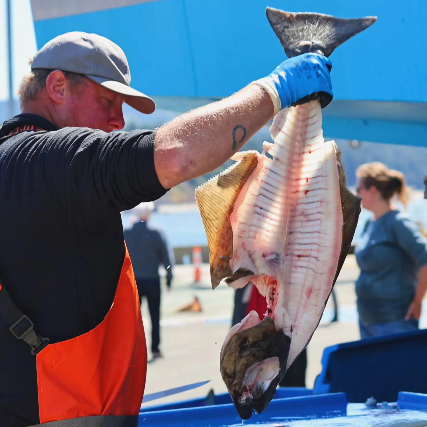 Pacific halibut, a summertime favorite at Port Orford Seafood Market.jpg