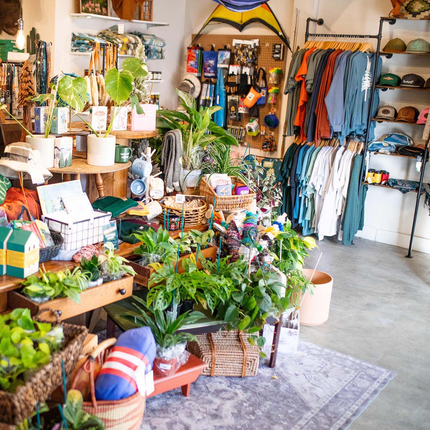 Plant display at Umpqua Trading Co.