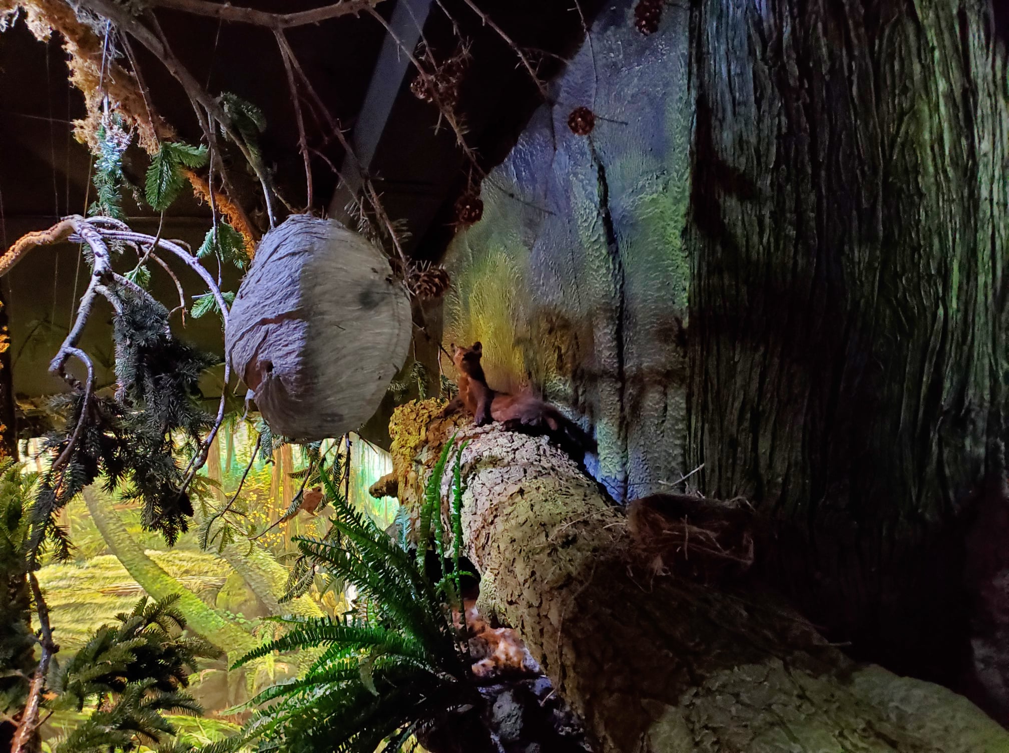 UDC - Hornets' Nest Exhibit.jpg