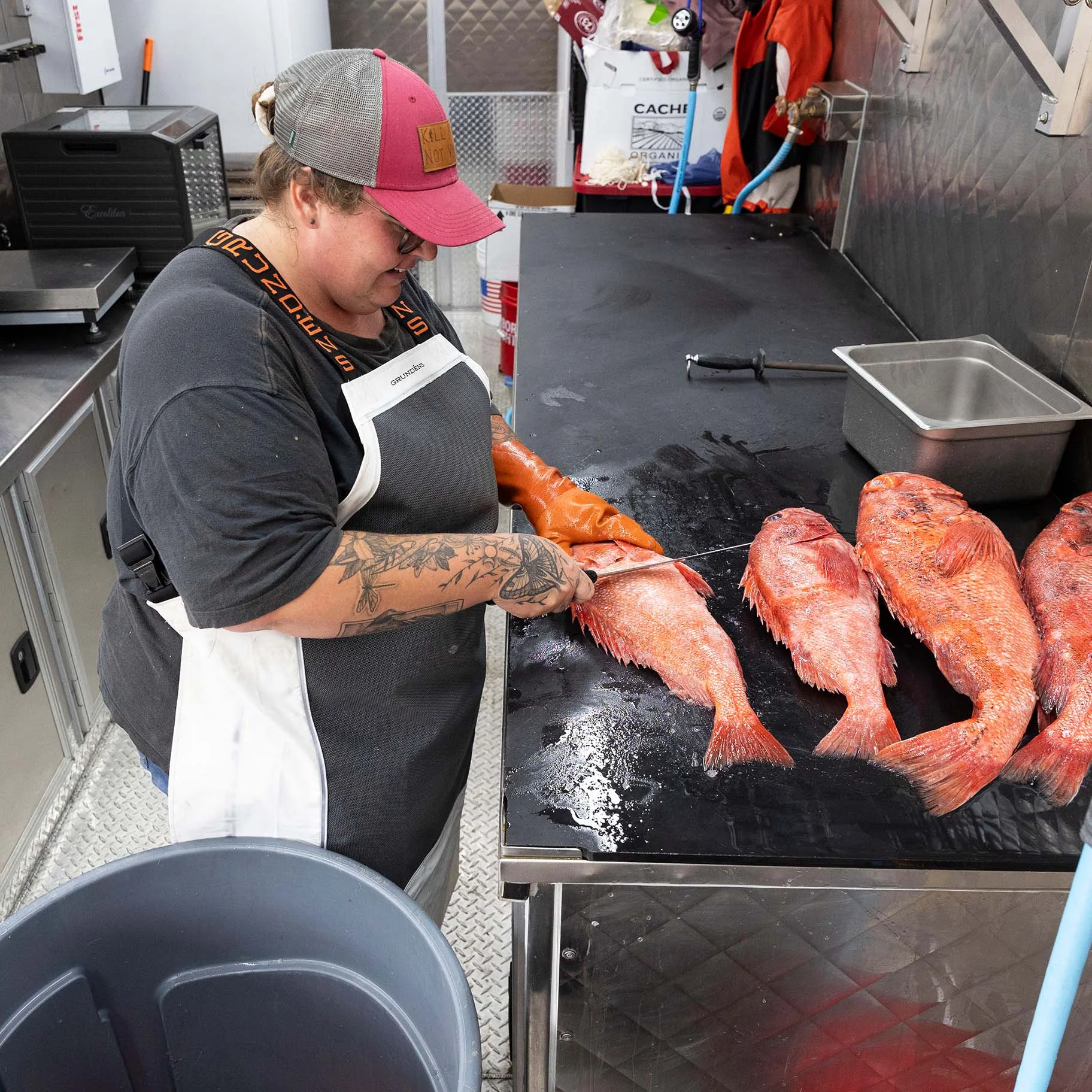 Rockfish fillet day at Sea-Bre_s.jpg
