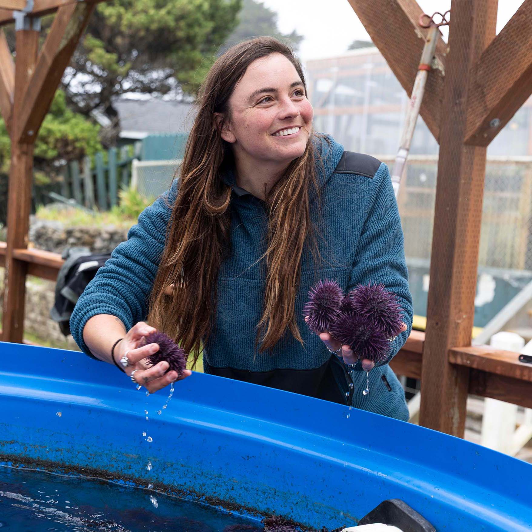 Woman holding sea urchins at the Port of Bandon