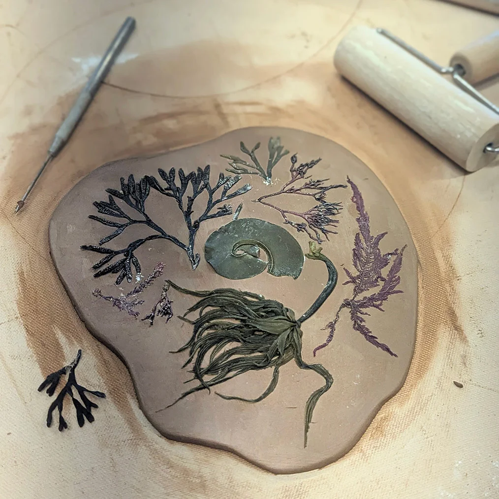 Conservation and clay seaweed embossed clay dish