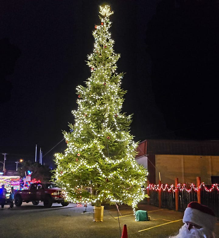 Holiday Light Parade Tree Lighting