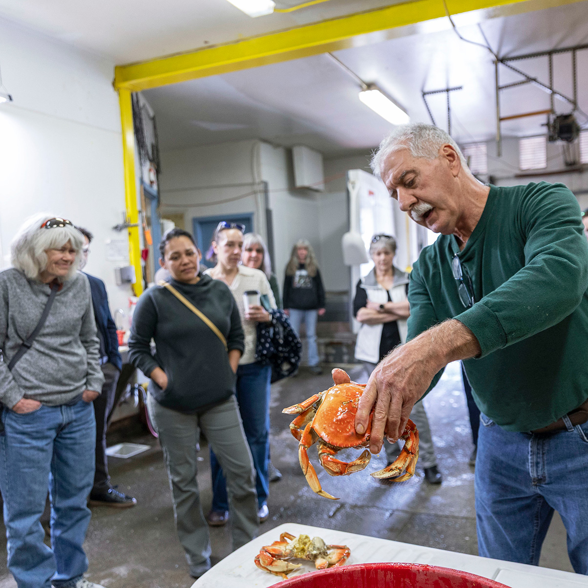 260227 Winter Waters Gold Beach photo by Rachelle Hacmac @littlezestypdx 19.jpg