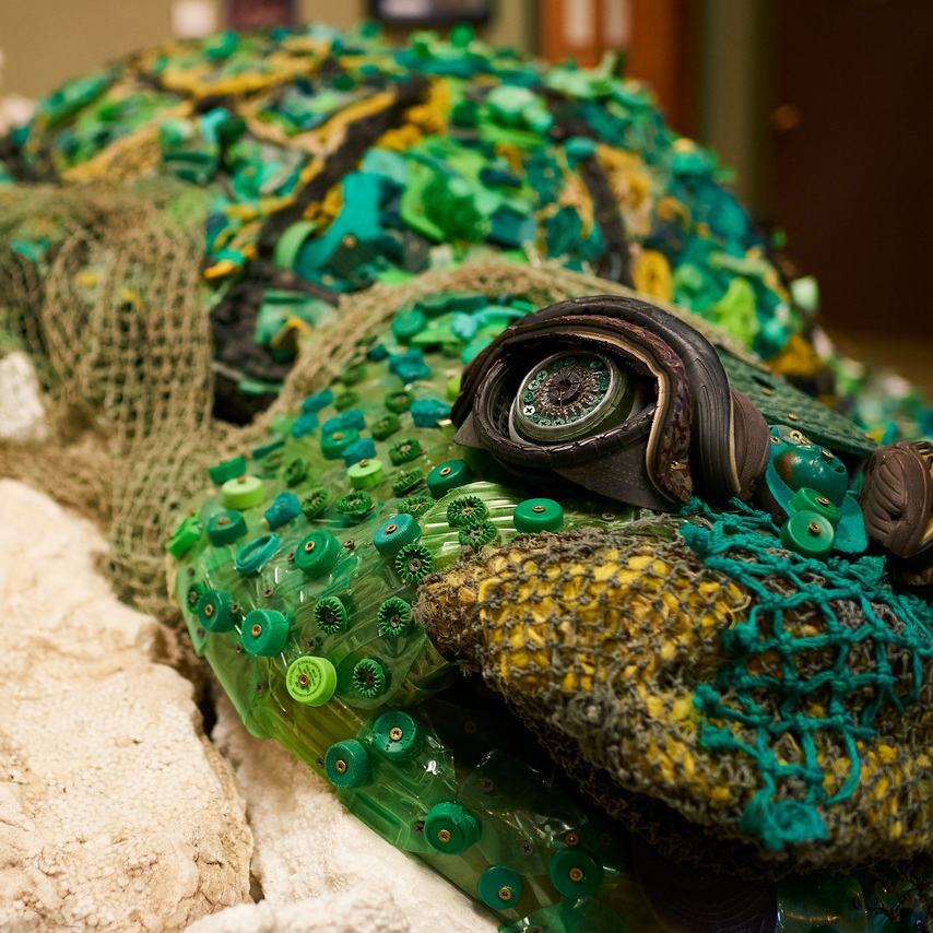 Washed Ashore Recycled Alligator Sculpture Bandon Oregon