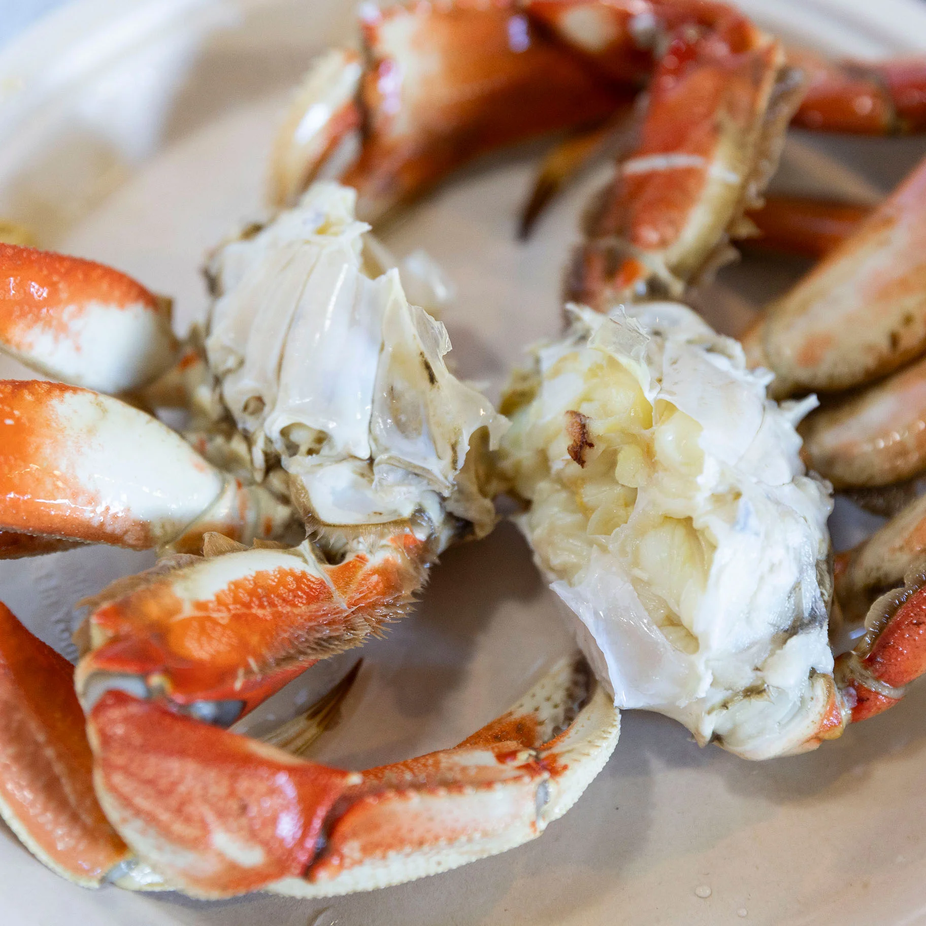 Fresh Dungeness Crab at OleBob_s Seafood Market.jpg