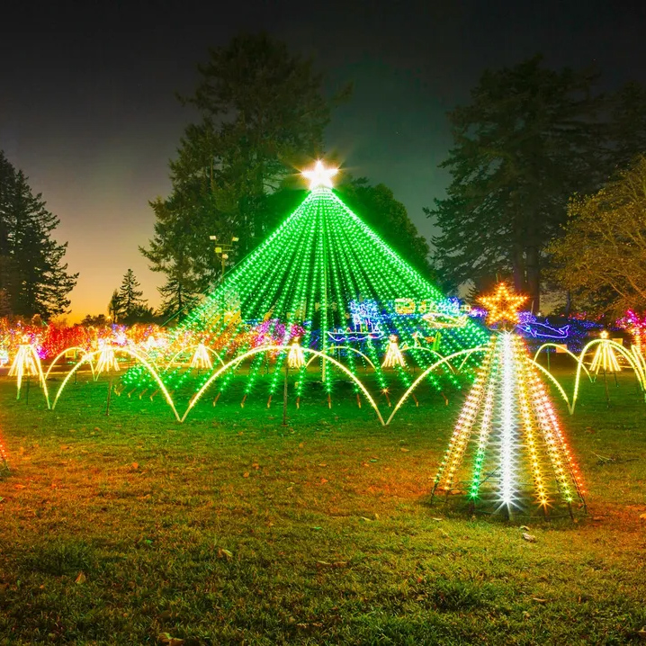 Festival of Lights Tree Light Display Brookings Oregon