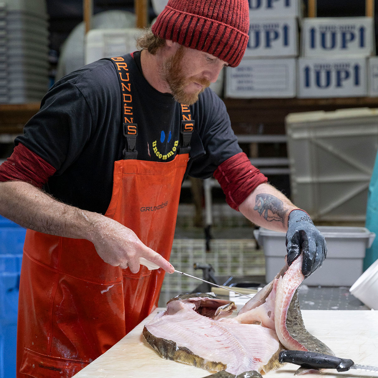 Fisherman Direct Seafood photo by Rachelle Hacmac 119.jpg