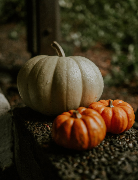 dark image of three pumpkins on a concrete perch