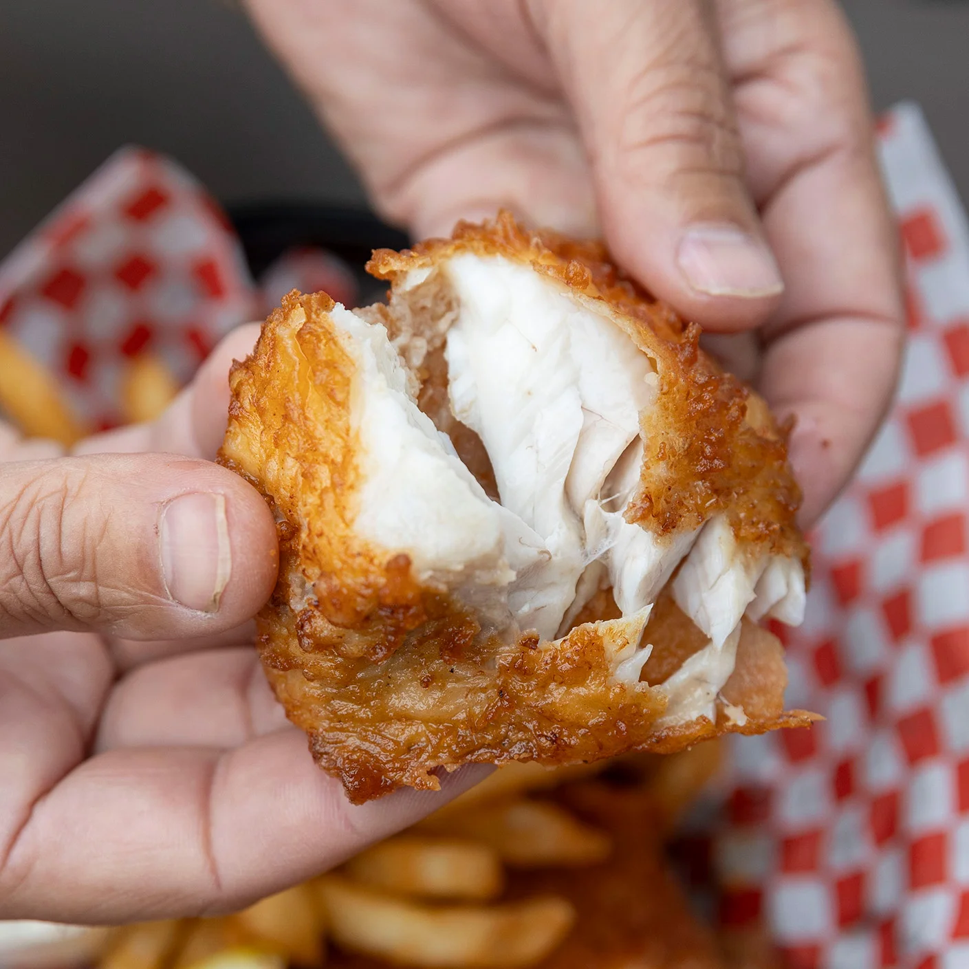 Albacore Tuna Fish & Chips at Catalyst Seafood in Brookings.jpg
