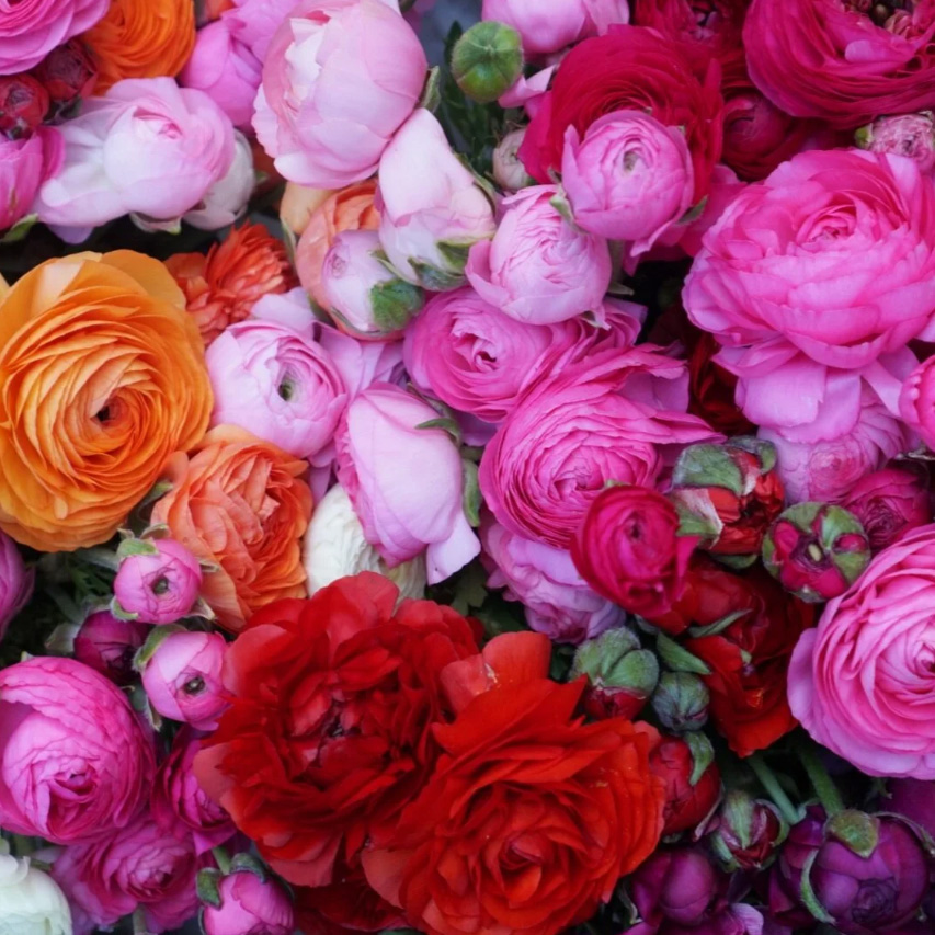 Screenshot 2026-03-23 144816.jpg