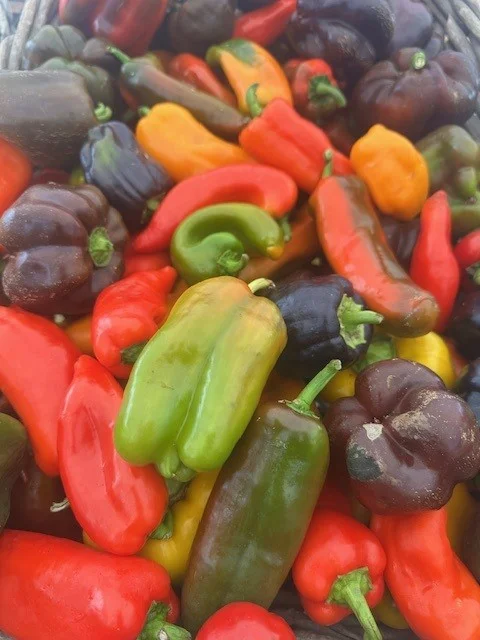 Peppers.jpg