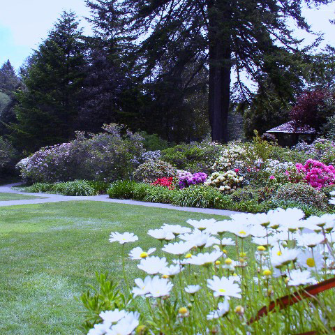 Azalea Park Brookings Oregon