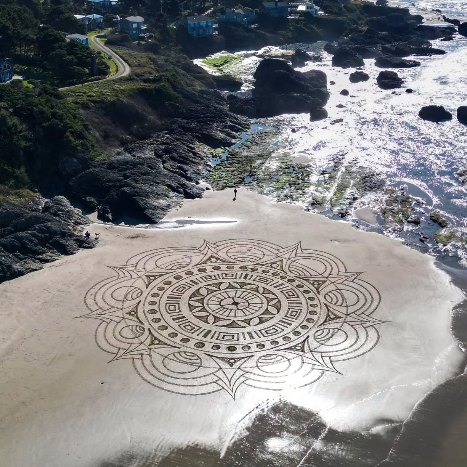 Screenshot 2026-02-23 at 12.13.53 PM.jpg