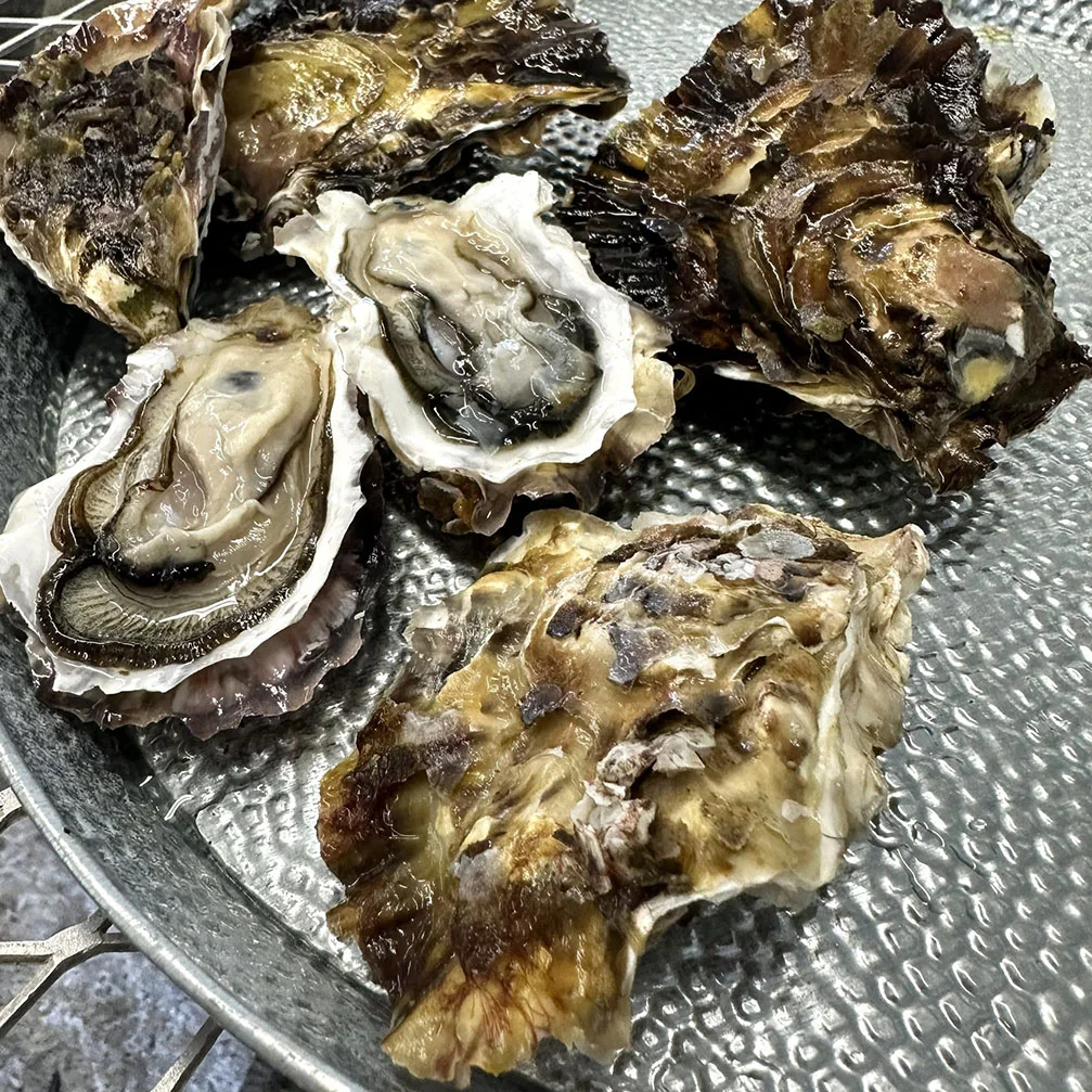 Oysters from Umqua Triangle Oysters.jpg
