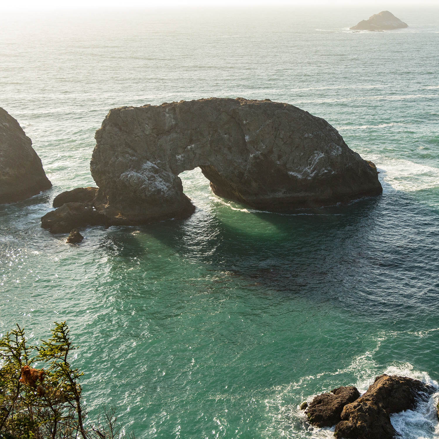 Arch Rock Viewpoint Brookings Oregon