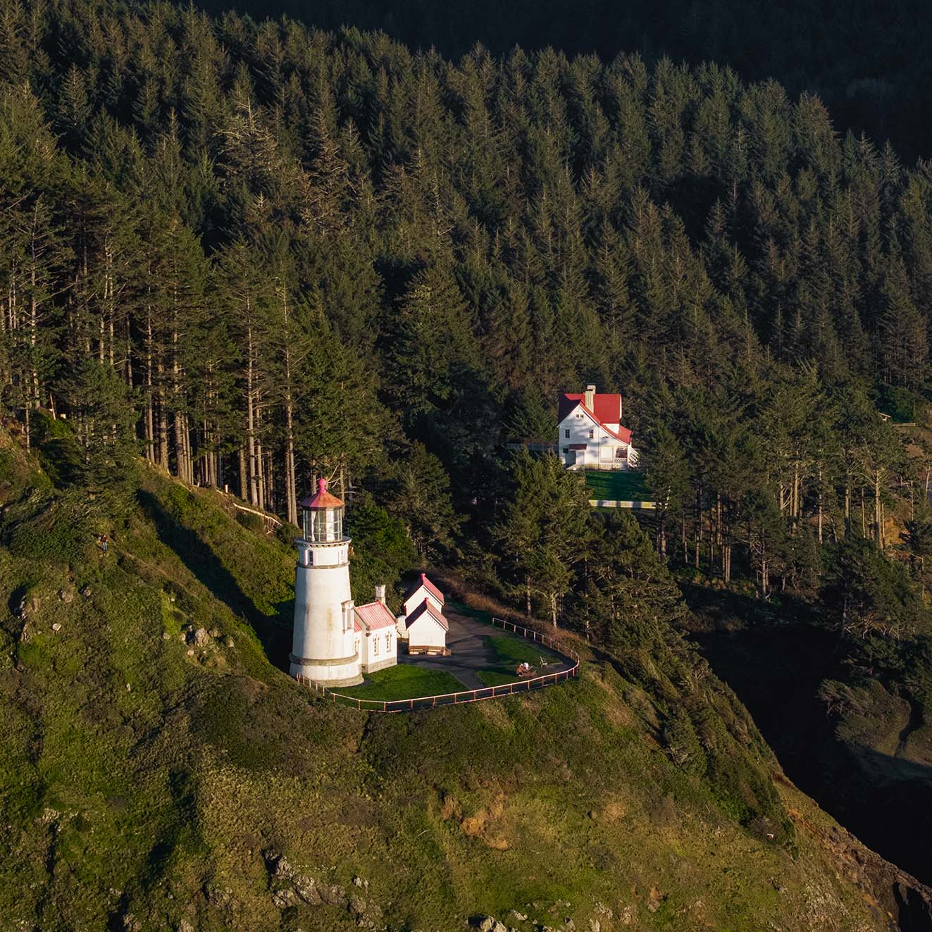 aerial drone view of Heceta Head Lighthouse on forested hillside