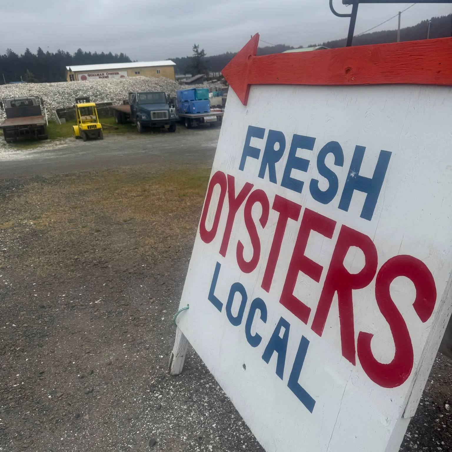Augustin Oyster Farms 02.jpg