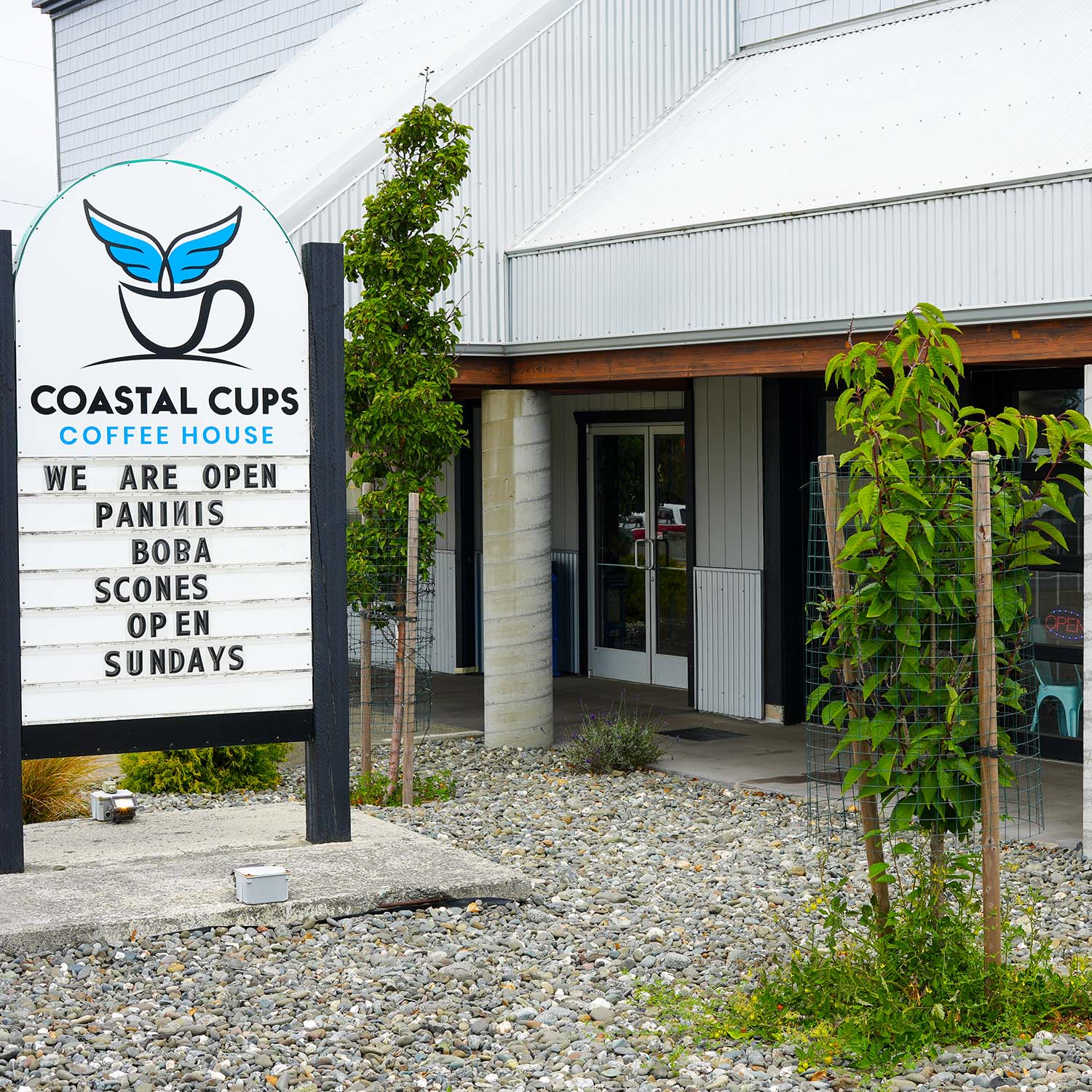 coastal-cups.jpg