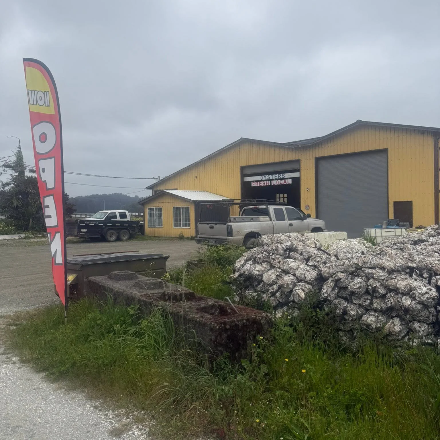 Pick up fresh oysters at the Augustin Oyster Farms retail location in Charelston.jpg