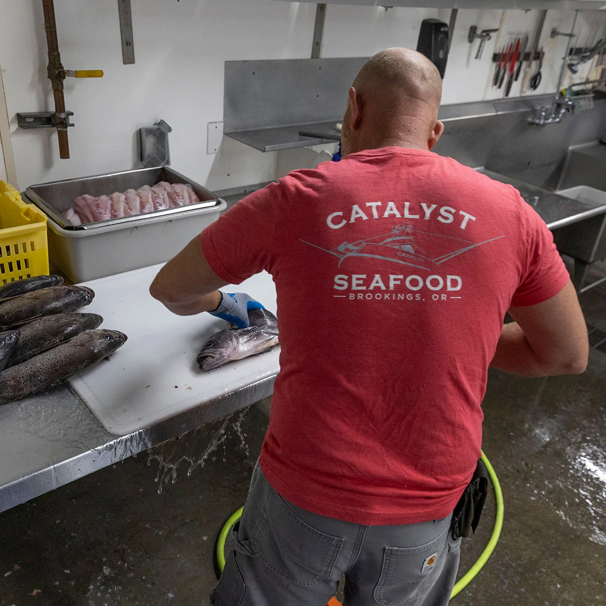 Processing fresh Rockfish for the restaurant.jpg