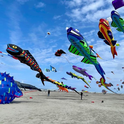 BEST KITE PHOTO.jpg