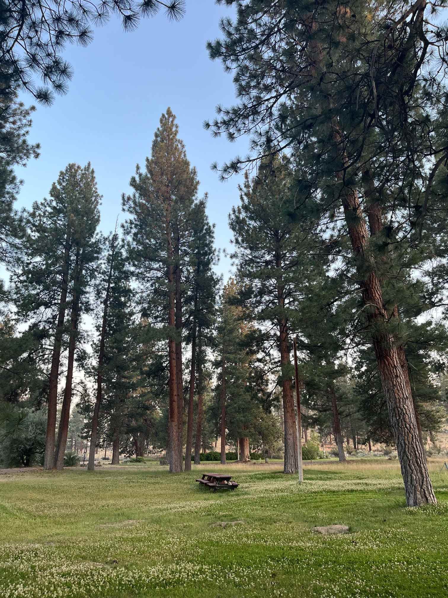 Coyote Ridge Campground