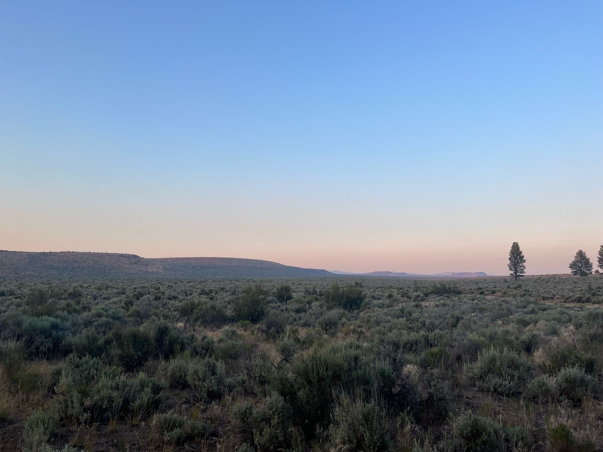 Coyote Ridge Campground