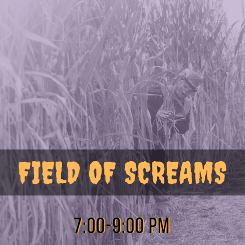 Field of Screams