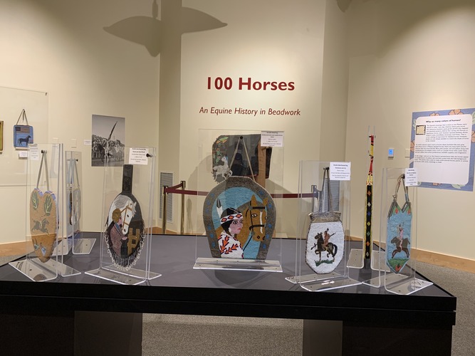 100 Horses Exhibit