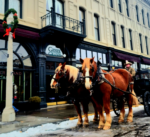 Horse Drawn Carriage Rides