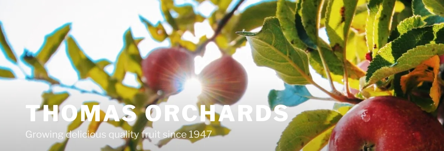 thomas orchards