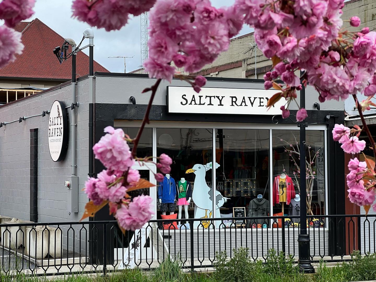 Salty Raven storefront