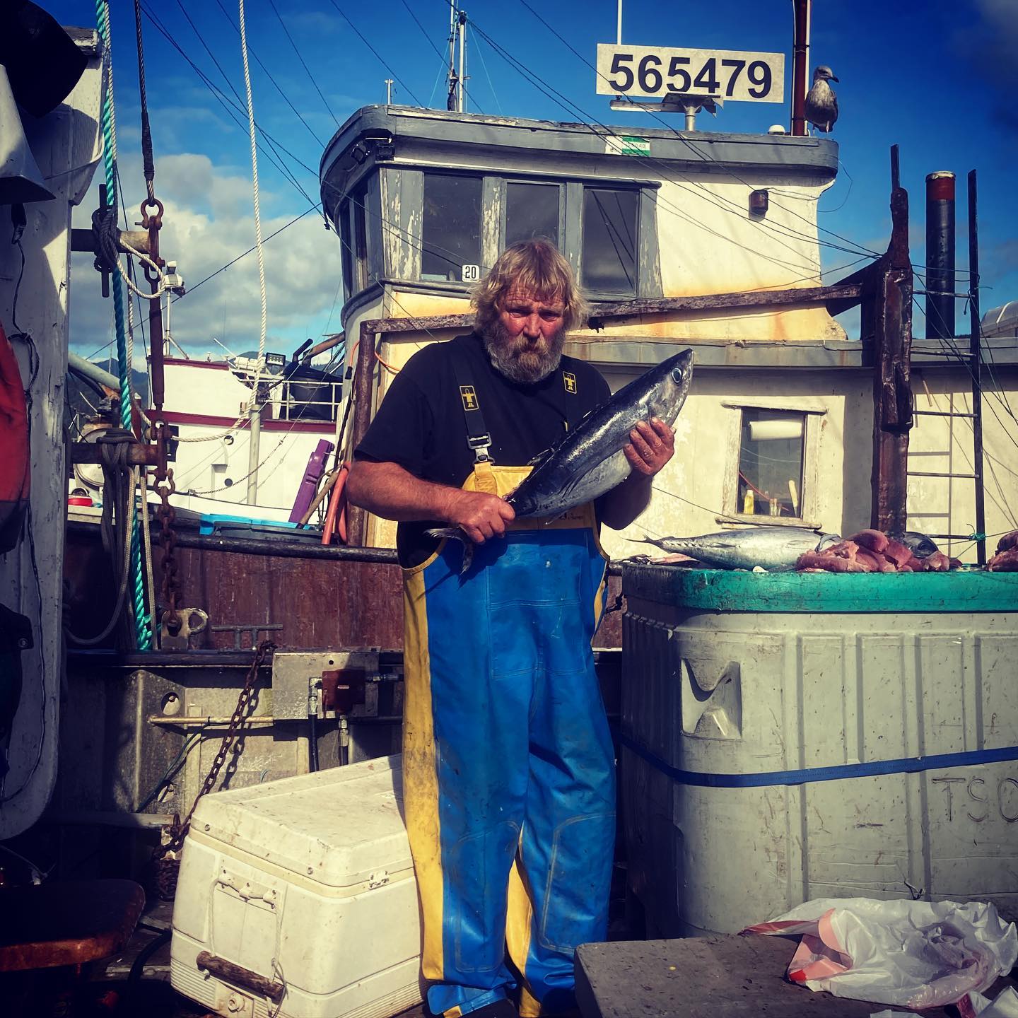 Worker from CS Fishery holding a freshly caught Albacore Tuna, about the length of his arm.