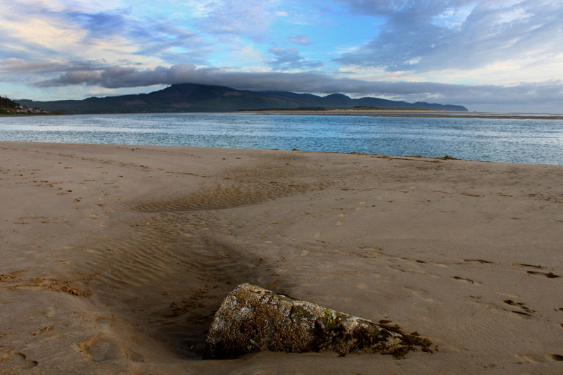 Low tide beach, large driftwood sticking out of wet sand. A cape with mountains touching the clouds in the distance