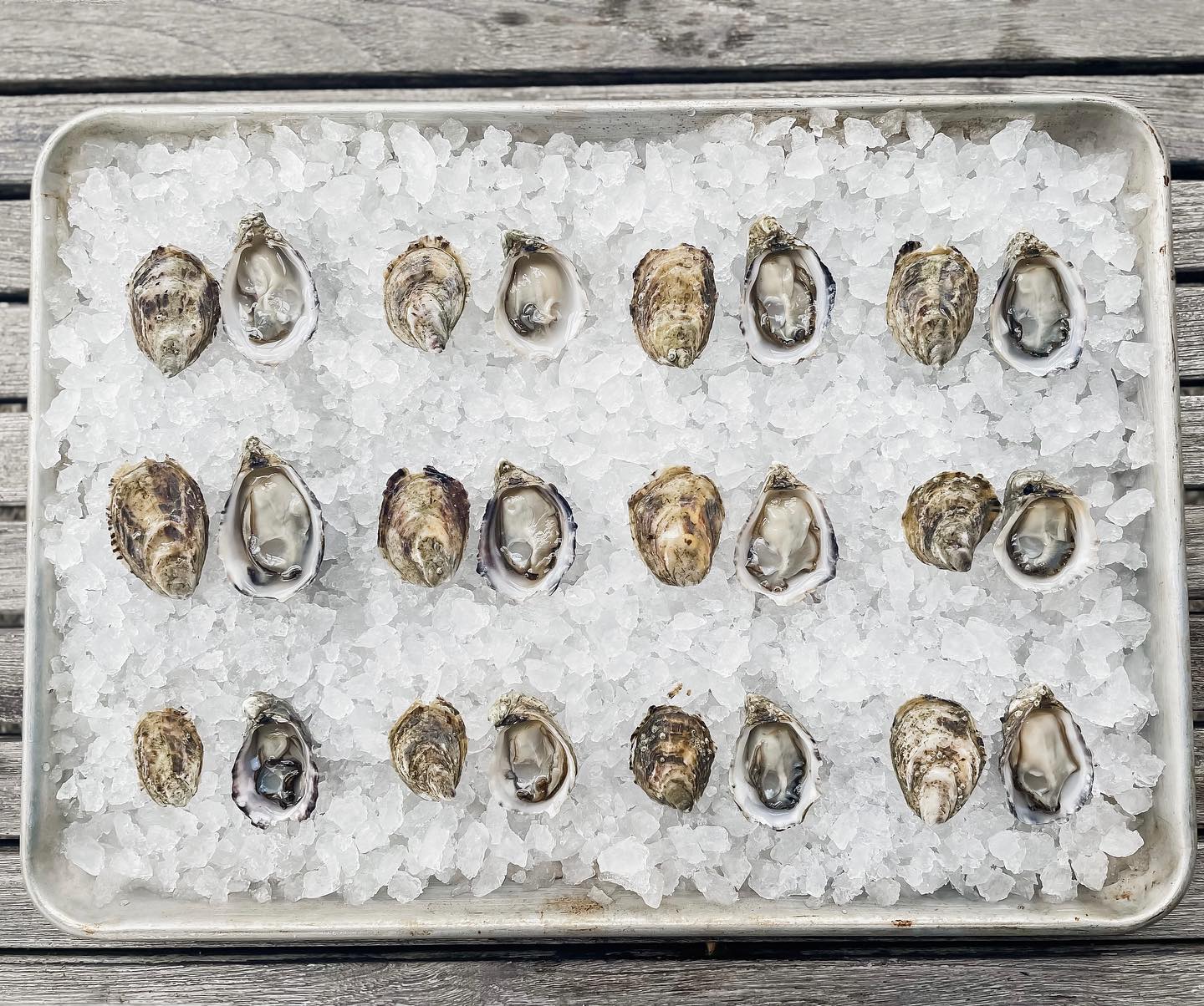 A dozen freshly shucked oysters on a bed of ice.