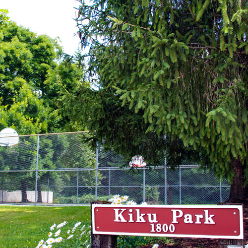 Kiku Park