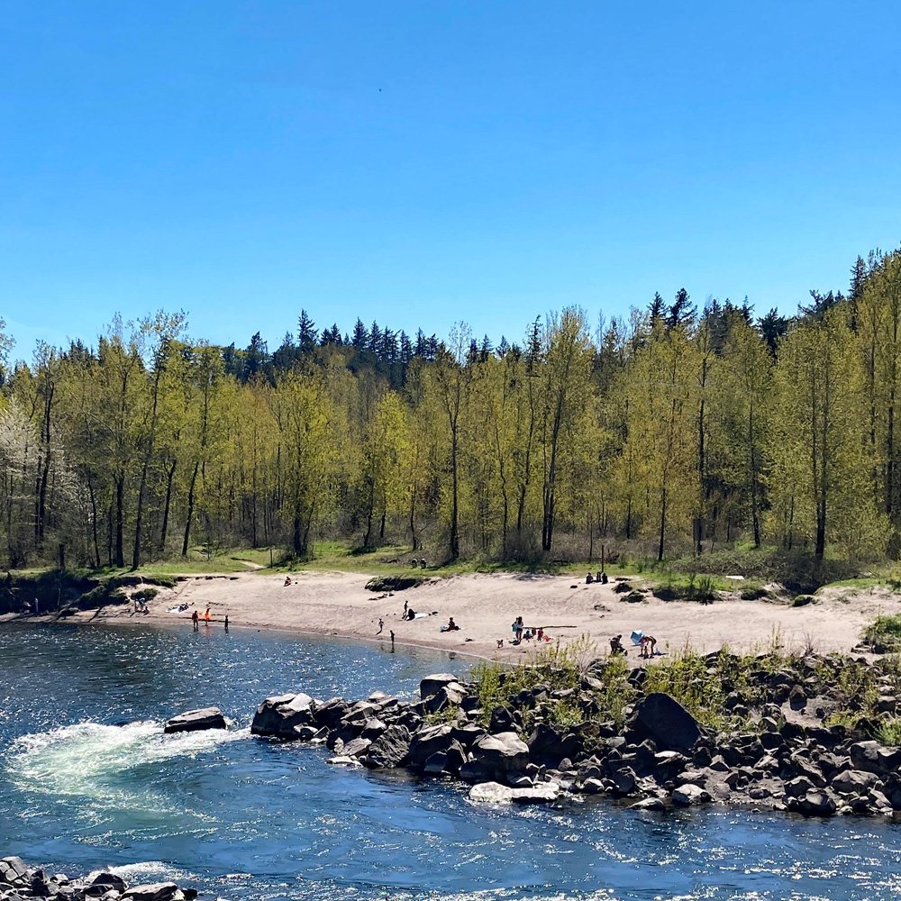 Beach on the Sandy River at Glenn Otto Park in Troutdale.