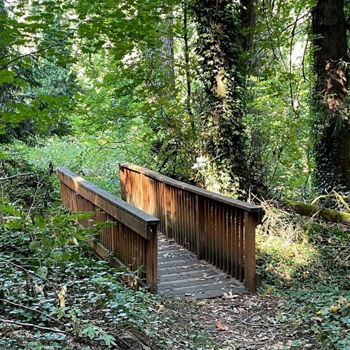 Footbridge on a trail inside Helen Althaus Park