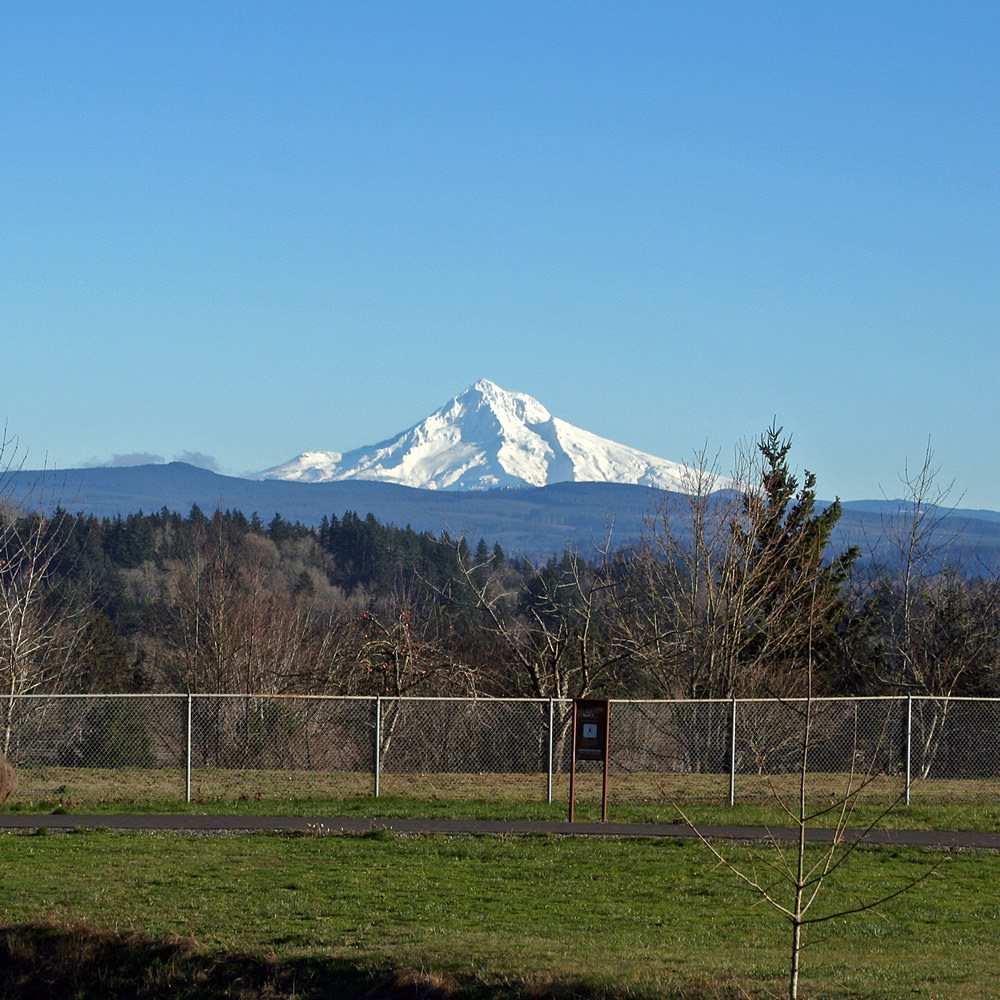 View of a white-capped Mt. Hood under a blue sky at Sunrise Park in Troutdale