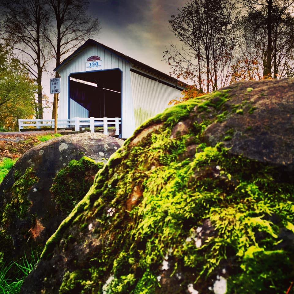 Gallon House with mossy rock