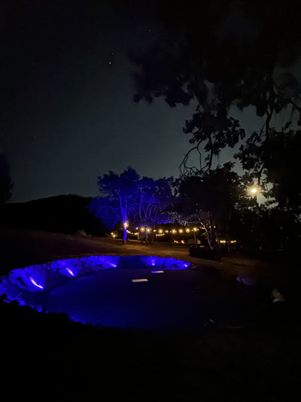 Outdoors at night with blue lighting