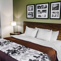 King size room in Sleep Inn of Roseburg