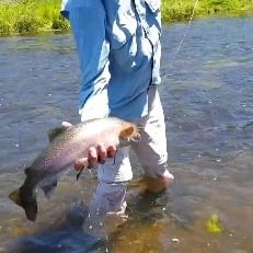 Man with blue shirt in the river with a catch