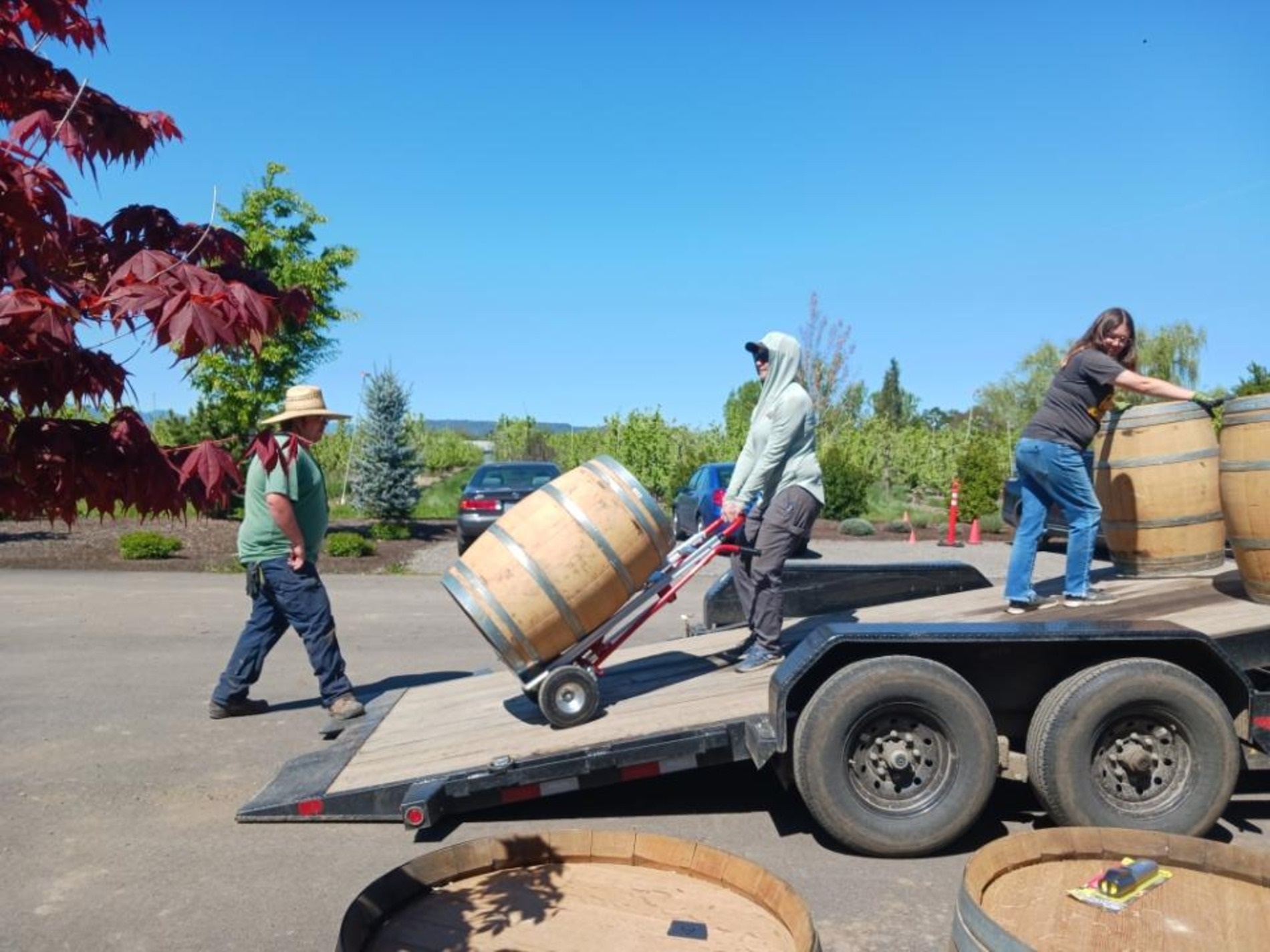 Barrels being loaded at Rusted Gate Farm