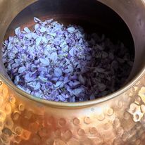 The Apothecary Roseburg