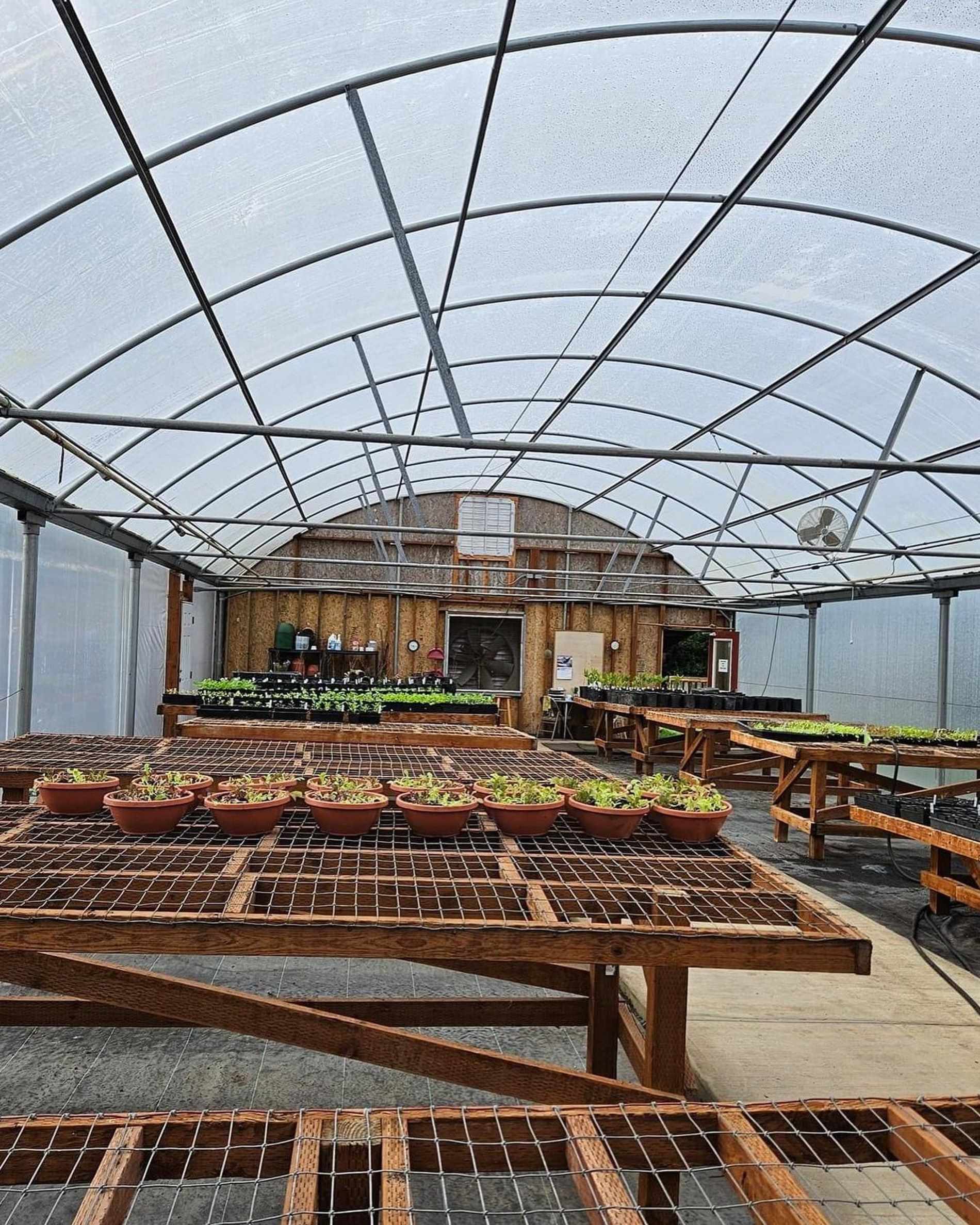 Rainbow Kitchen Umpqua Valley Farm to school greenhouse