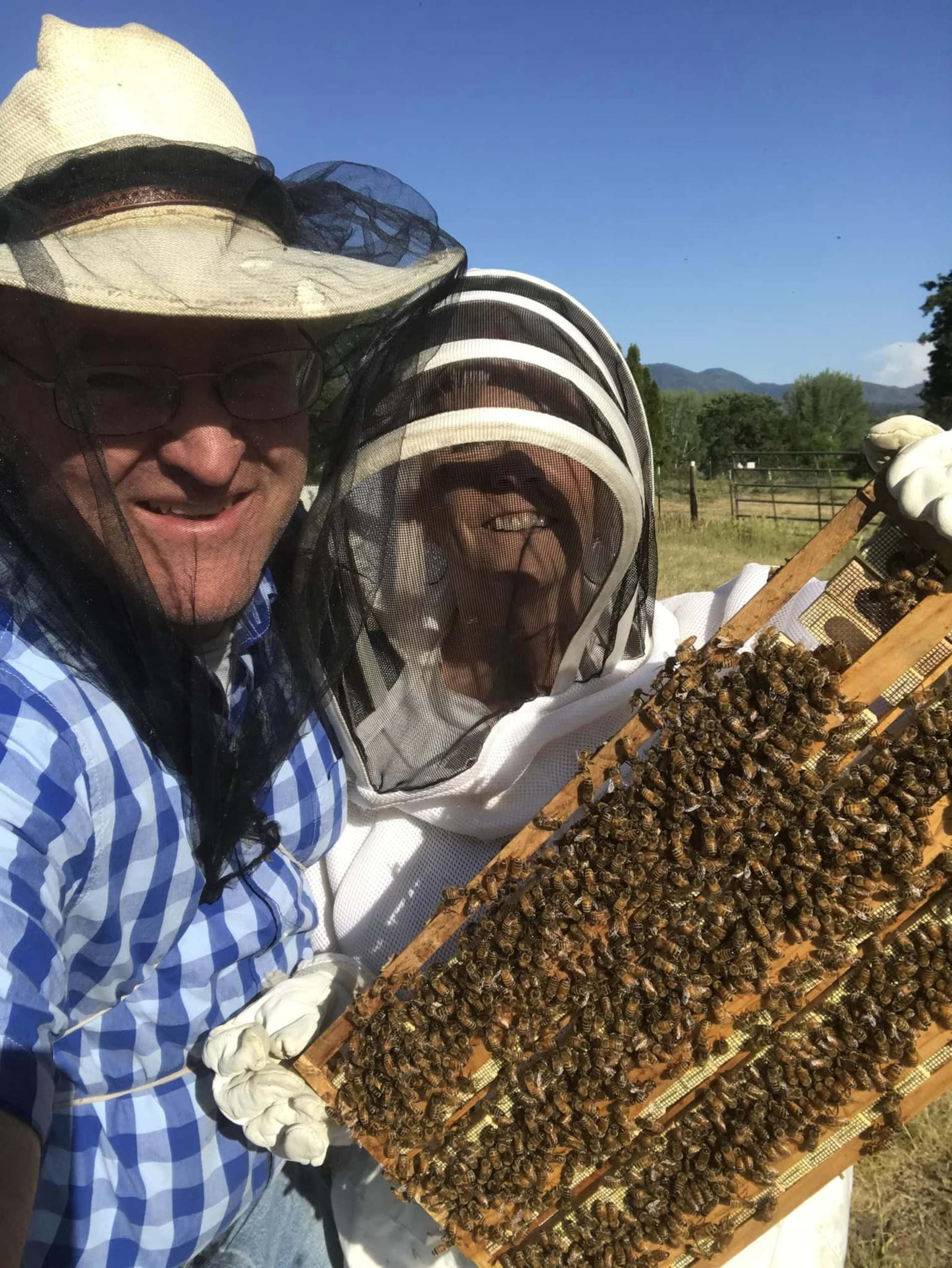 two beekeepers hold up beehive frame
